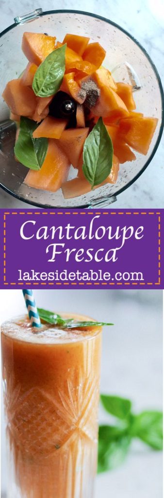Chilled cantaloupe soup is perfect for hot summer days.  It's cool and refreshing vegetarian treat!  No artificial sweeteners needed for this clean healthy snack. This recipe lets a sweet cantaloupe really show off it's stuff. Serve cold as an appetizer or drink it as a smoothie. Either way, it's divine.