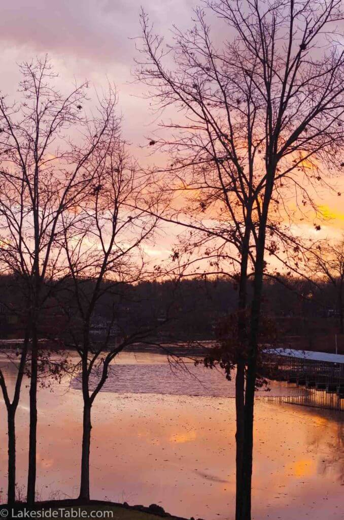 winter trees by a lake in the winter at sunset