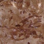 Real Chocolate Mousse inspired by Julia Child's recipe. Rich, Creamy, Chocolate-y Easy! | www.lakesidetable.com