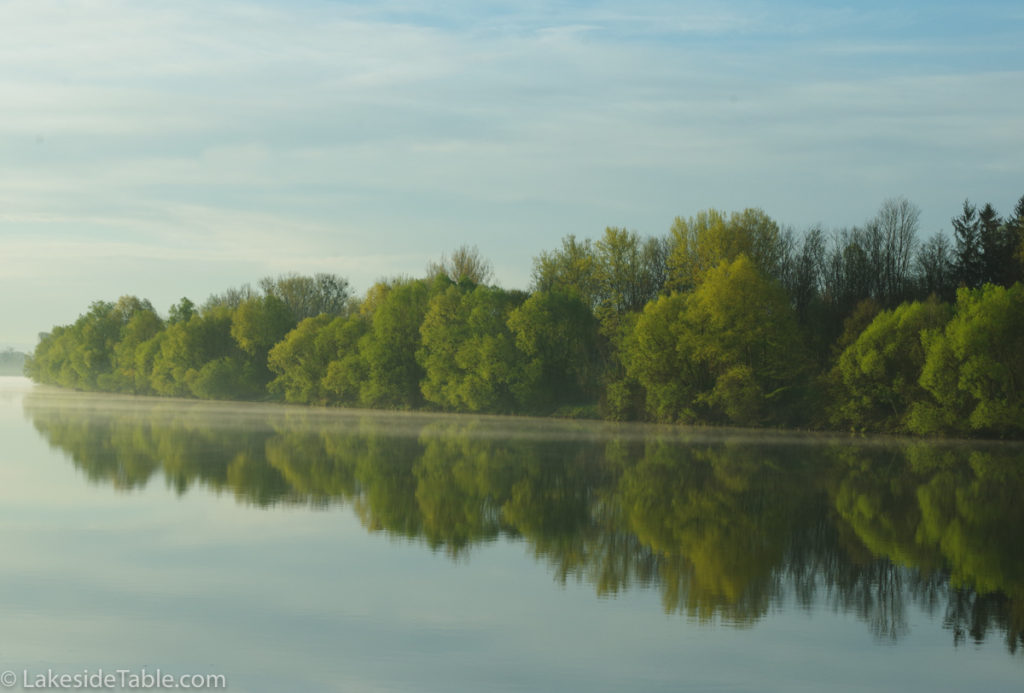 Danube River with trees and their reflection with blue sky and wispy clouds.