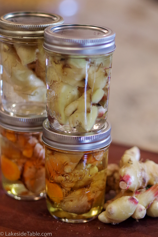 4 jars of baby ginger root and turmeric root in vodka