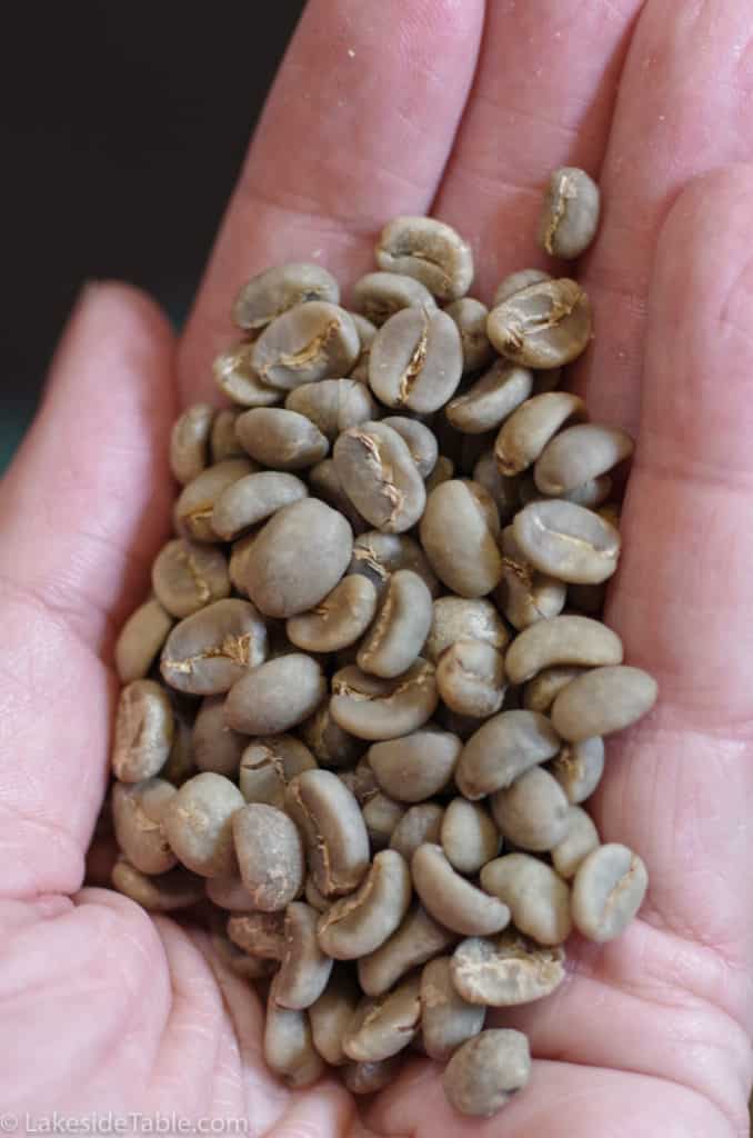 handful of green coffee beans at Joe Sippers Cafe Effingham IL