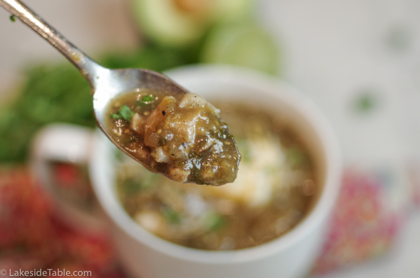 a spoonful of pork chili verde soup