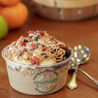 Pumpkin and acai bowl topped with granola, goji, coconut, bananas, and nut butter drizzle.